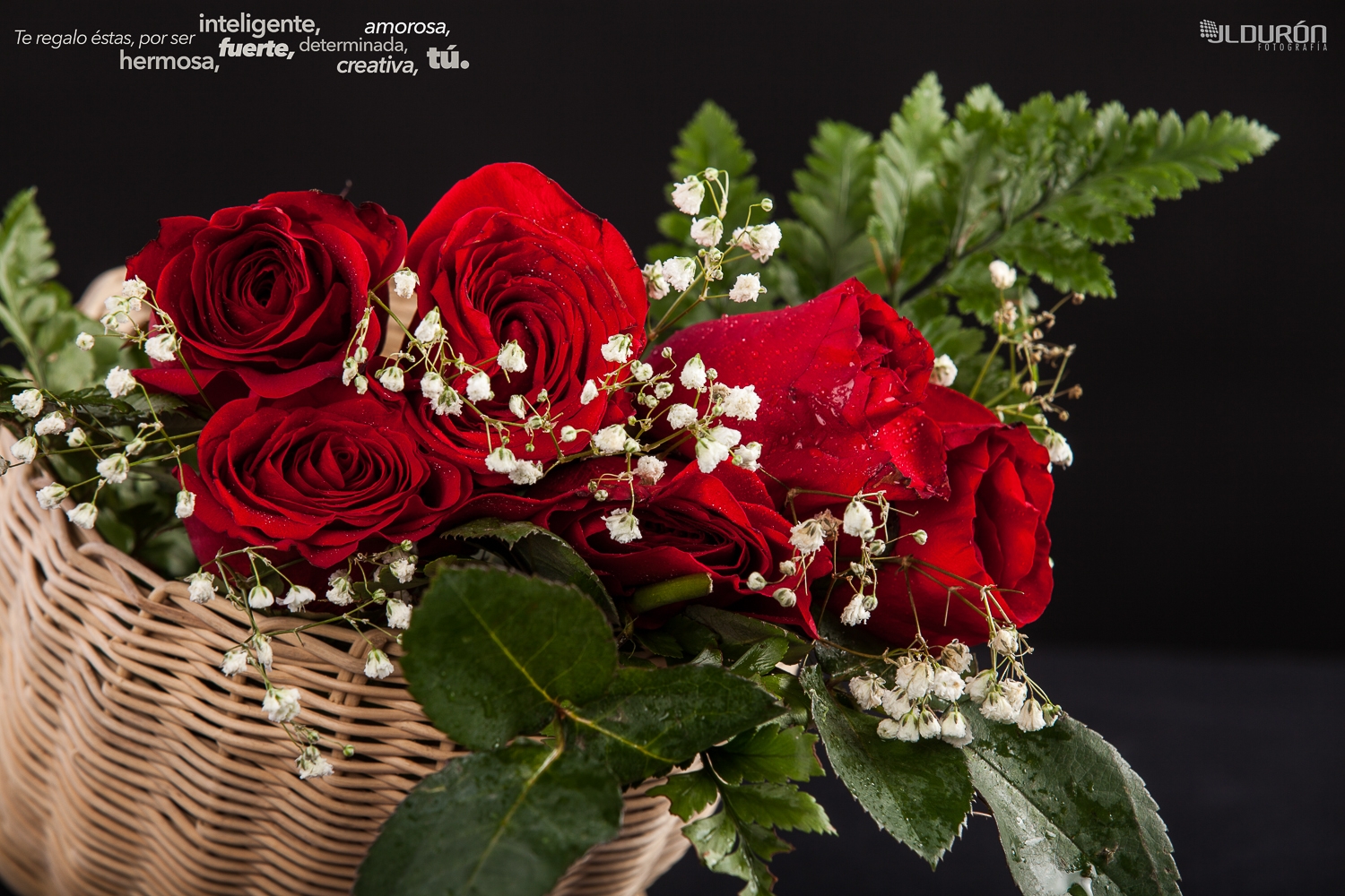 Rosas en el Día de la Mujer - 024/365